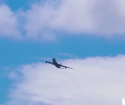 Aroused passenger fucked by TS flight attendant